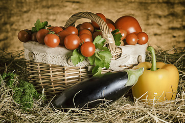 Image showing Still Life