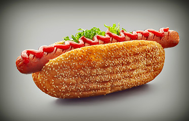 Image showing Hot Dog