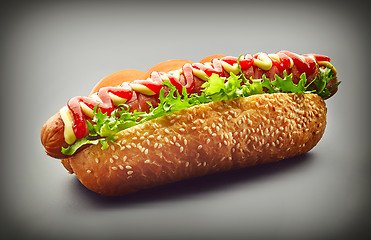 Image showing Hot Dog