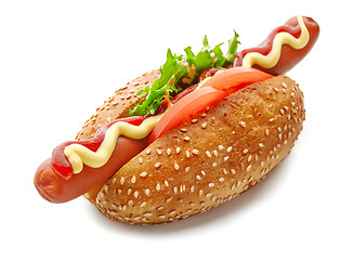 Image showing Hot dog on white background