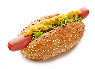 Image showing Hot dog on white background