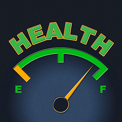 Image showing Health Gauge Indicates Preventive Medicine And Care