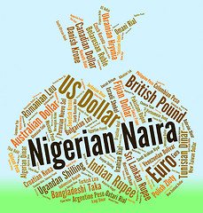 Image showing Nigerian Naira Means Foreign Currency And Forex