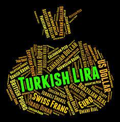 Image showing Turkish Lira Indicates Foreign Currency And Coinage