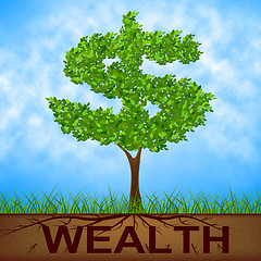 Image showing Wealth Tree Shows American Dollars And Branch