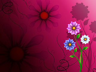 Image showing Flowers Background Shows Blossoming Growth And Nature\r