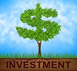 Image showing Investment Tree Indicates American Dollars And Branch