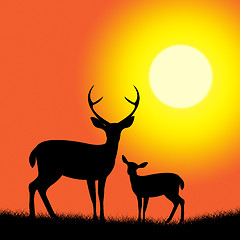 Image showing Deer Wildlife Represents Nature Reserve And Animal