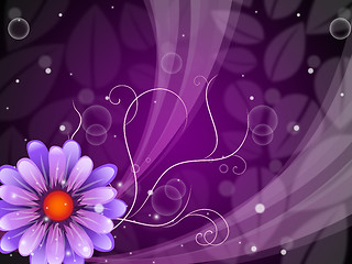 Image showing Flower Background Shows Petals Blooming And Beauty\r