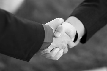 Image showing Business Handshake