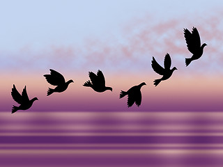 Image showing Flying Birds Shows Chill Fall And Frosty