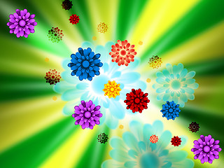 Image showing Brightness Flowers Background Shows Petals Blossoms And Pretty\r