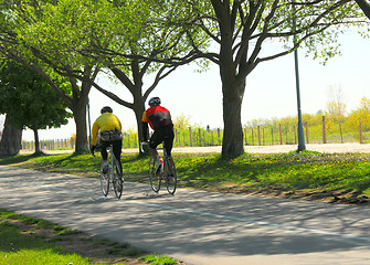 Image showing Bicycling in a park