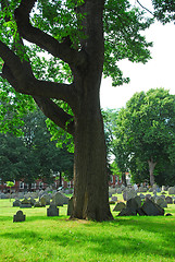 Image showing Old cemetery