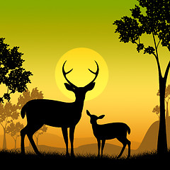 Image showing Deer Wildlife Indicates Safari Animals And Evening