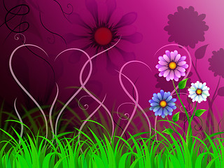 Image showing Flowers Background Shows Colorful Pretty And Natural World\r