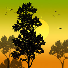 Image showing Countryside Sunset Represents Scene Meadows And Reforestation