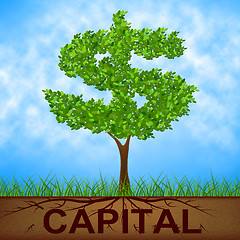 Image showing Capital Tree Indicates American Dollars And Banking