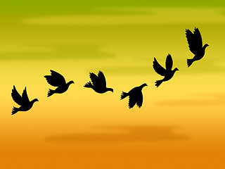 Image showing Flying Birds Represents Summer Time And Heat
