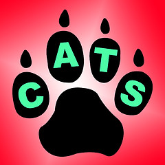 Image showing Cats Paw Shows Pet Services And Feline