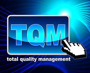 Image showing Total Quality Management Represents World Wide Web And Approval