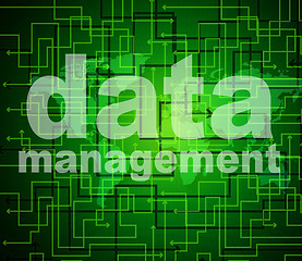 Image showing Management Data Represents Organization Authority And Managing