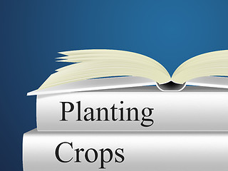 Image showing Planting Crops Indicates Plants Farmland And Cultivating