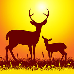 Image showing Deer Wildlife Shows Nature Reserve And Animal