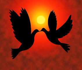 Image showing Peace Doves Represents Flock Of Birds And Pacifist