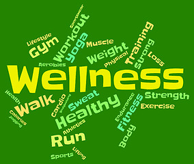 Image showing Wellness Words Indicates Health Check And Healthcare