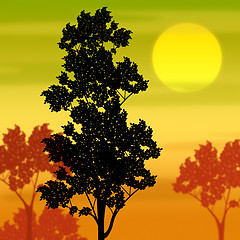 Image showing Countryside Sunset Shows Tree Trunk And Branch