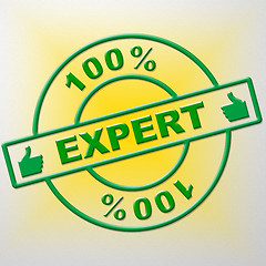 Image showing Hundred Percent Expert Indicates Training Proficiency And Experts