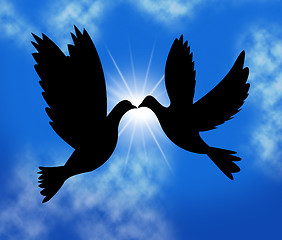 Image showing Peace Doves Indicates Flock Of Birds And Wildlife