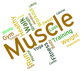 Image showing Muscle Words Shows Weight Lifting And Dumbbell