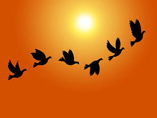 Image showing Flying Birds Means Summer Time And Sky