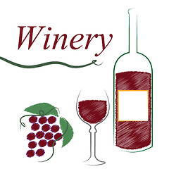 Image showing Winery Wine Shows Alcoholic Drink And Booze