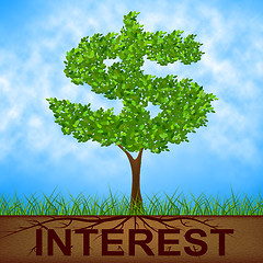 Image showing Interest Tree Shows American Dollars And Branch