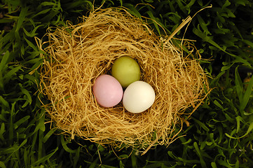 Image showing Easter egg and nest