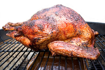 Image showing Grilled Turkey