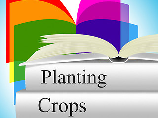 Image showing Planting Crops Indicates Agrarian Cultivation And Field