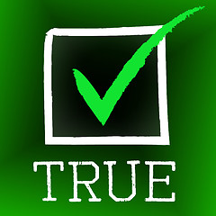 Image showing Tick True Represents In Truth And Accurate