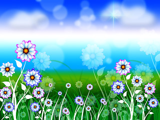 Image showing Flowers Background Means Blossoms Petals And Blooming\r