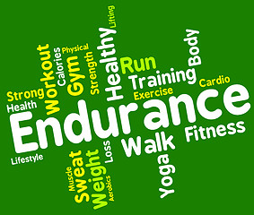 Image showing Endurance Word Means Staying Power And Enduring