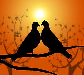 Image showing Love Birds Represents Heart Compassion And Boyfriend