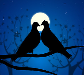 Image showing Love Birds Means Boyfriend Affection And Fondness