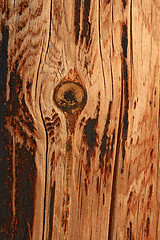 Image showing Burnt knotty wood background