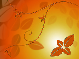 Image showing Fine Leaves Background Shows Autumn Season Beauty\r