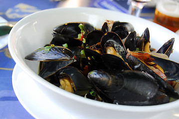 Image showing Mussels