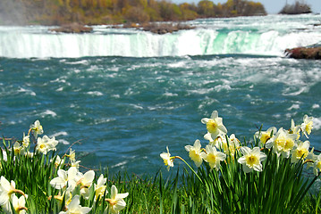 Image showing Niagara Falls