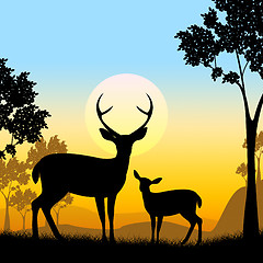 Image showing Deer Wildlife Indicates Safari Animals And Evening